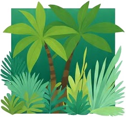 a green and yellow tropical plant with leaves.jpg